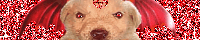 magolpy